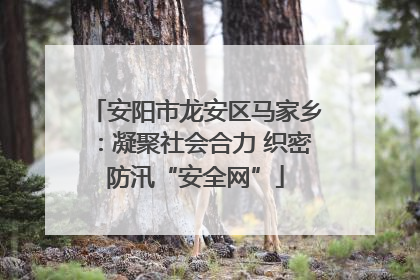 安阳市龙安区马家乡：凝聚社会合力 织密防汛“安全网”